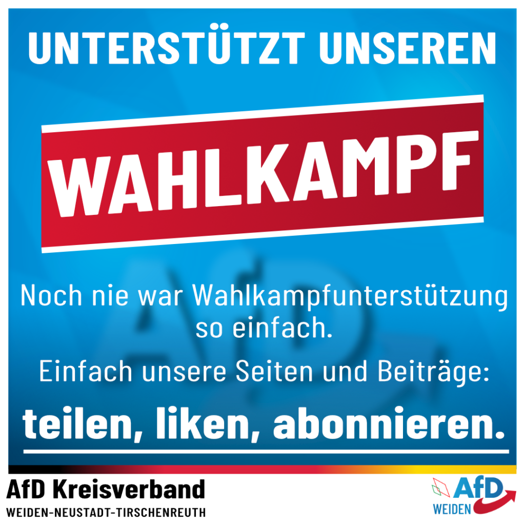AfD Weiden Oberpfalz Wahlkampfunterstützung