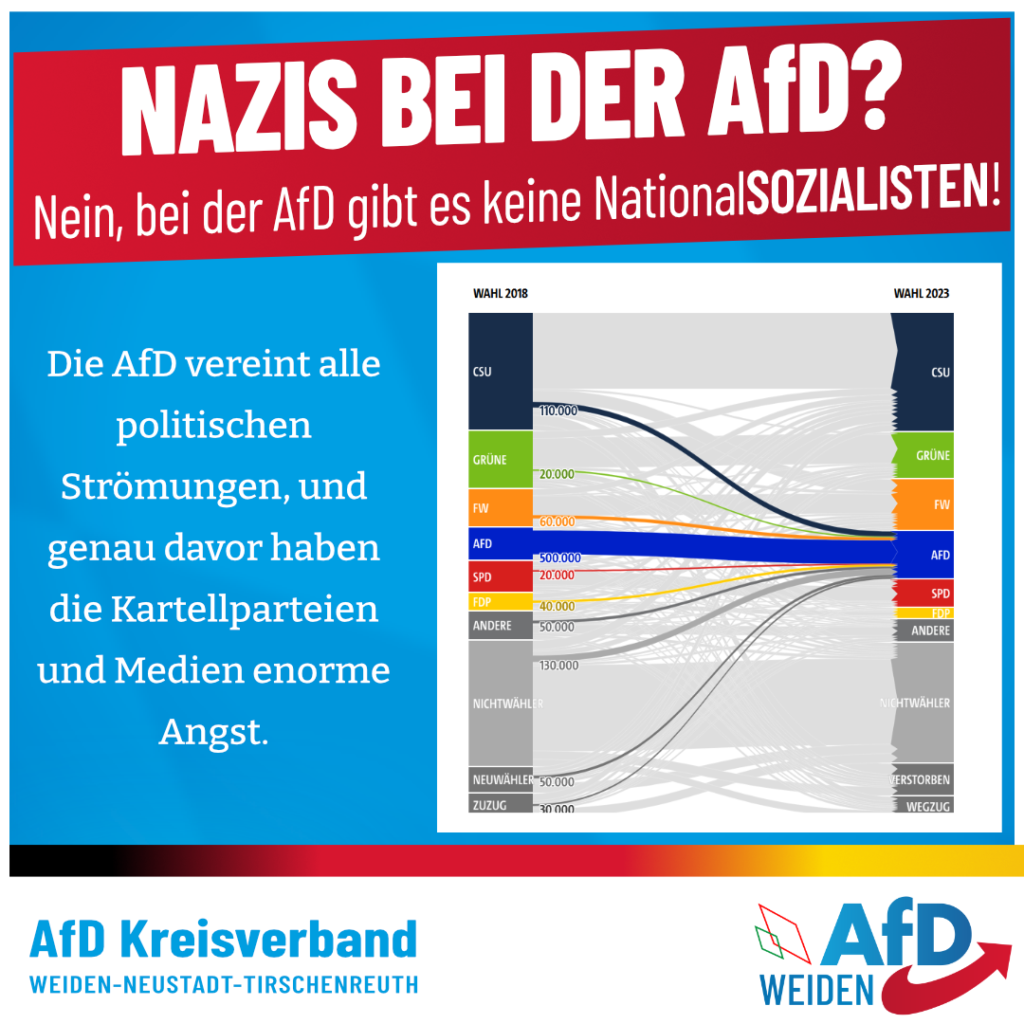 Nazis bei der AfD - Nein bei der AfD gibt es keine Nationalsozialisten!