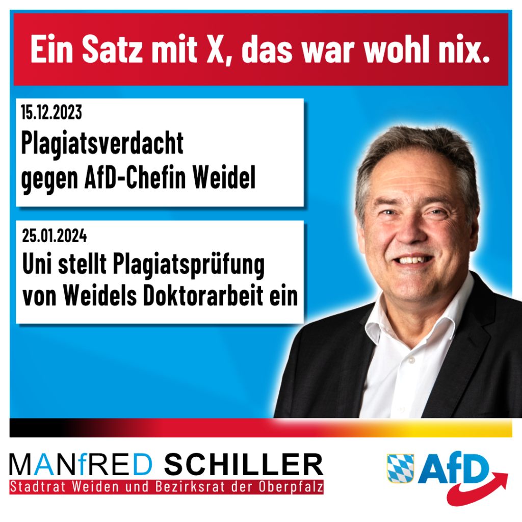Manfred Schiller AfD - Ein Satz mit X