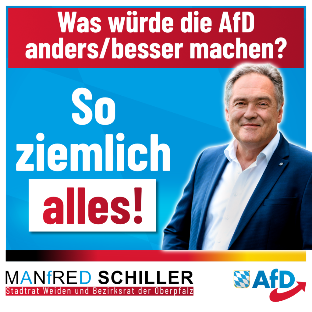 Manfred Schiller AfD - Was würde die AfD anders machen