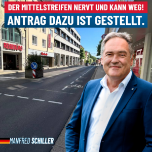 Manfred Schiller AfD - Der Mittelstreifen nervt und kann weg.