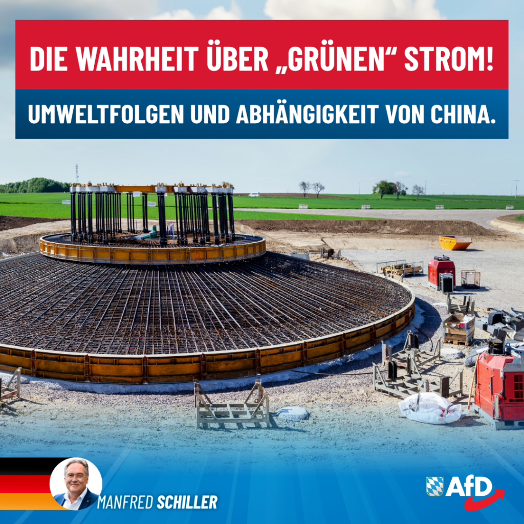 Manfred Schiller AfD - Die Wahrheit über grünen Strom