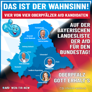 AfD Weiden - Das ist der Wahnsinn - 4 Oberpfälzer für den Bundestag
